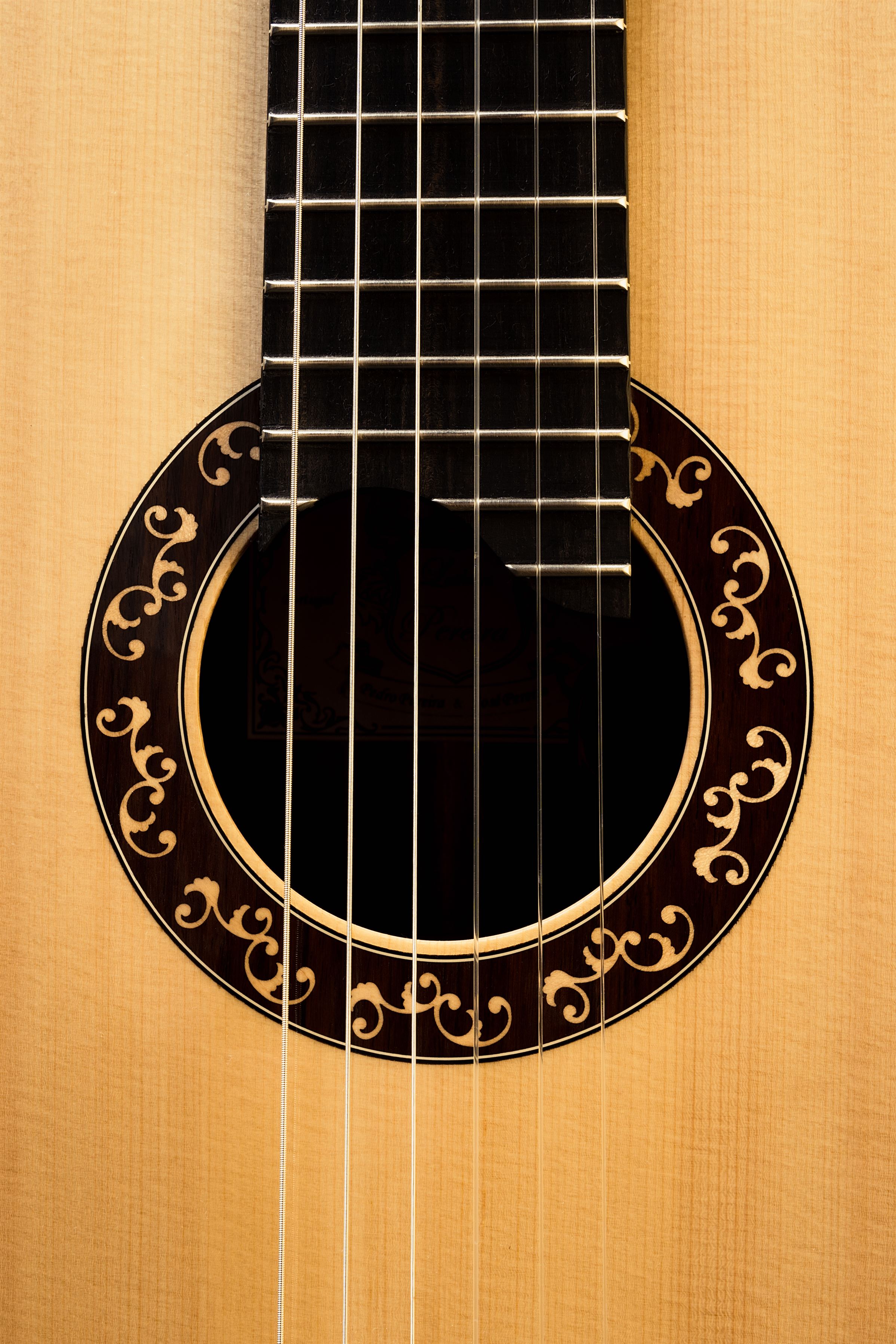 Guitarra inteira